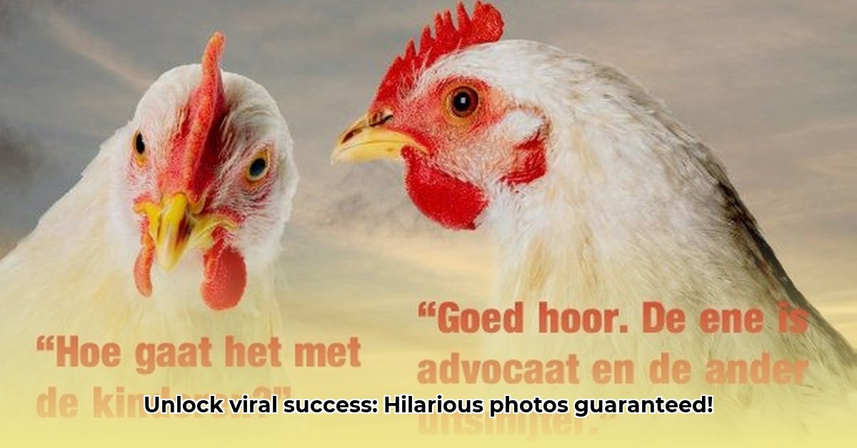 grappige-fotos